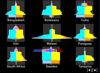 Visualisation of education data at different levels in a number of countries.